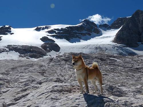 步行者逆袭骑士，拉梅洛·鲍尔制胜一击，东部新格局初现